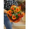 oranzovakyticagratulacna4